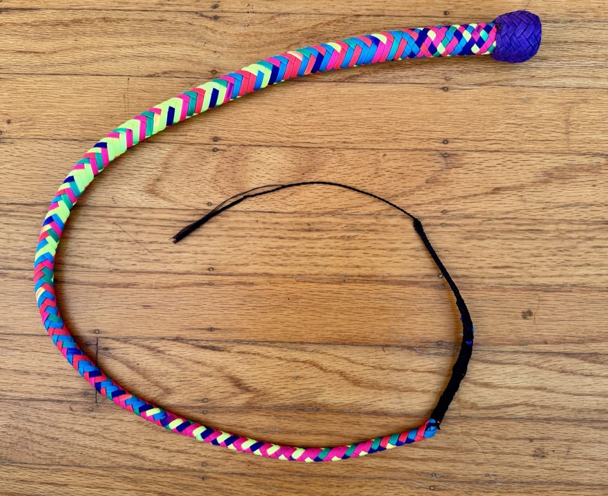 Rainbow Paracord Signal Whip