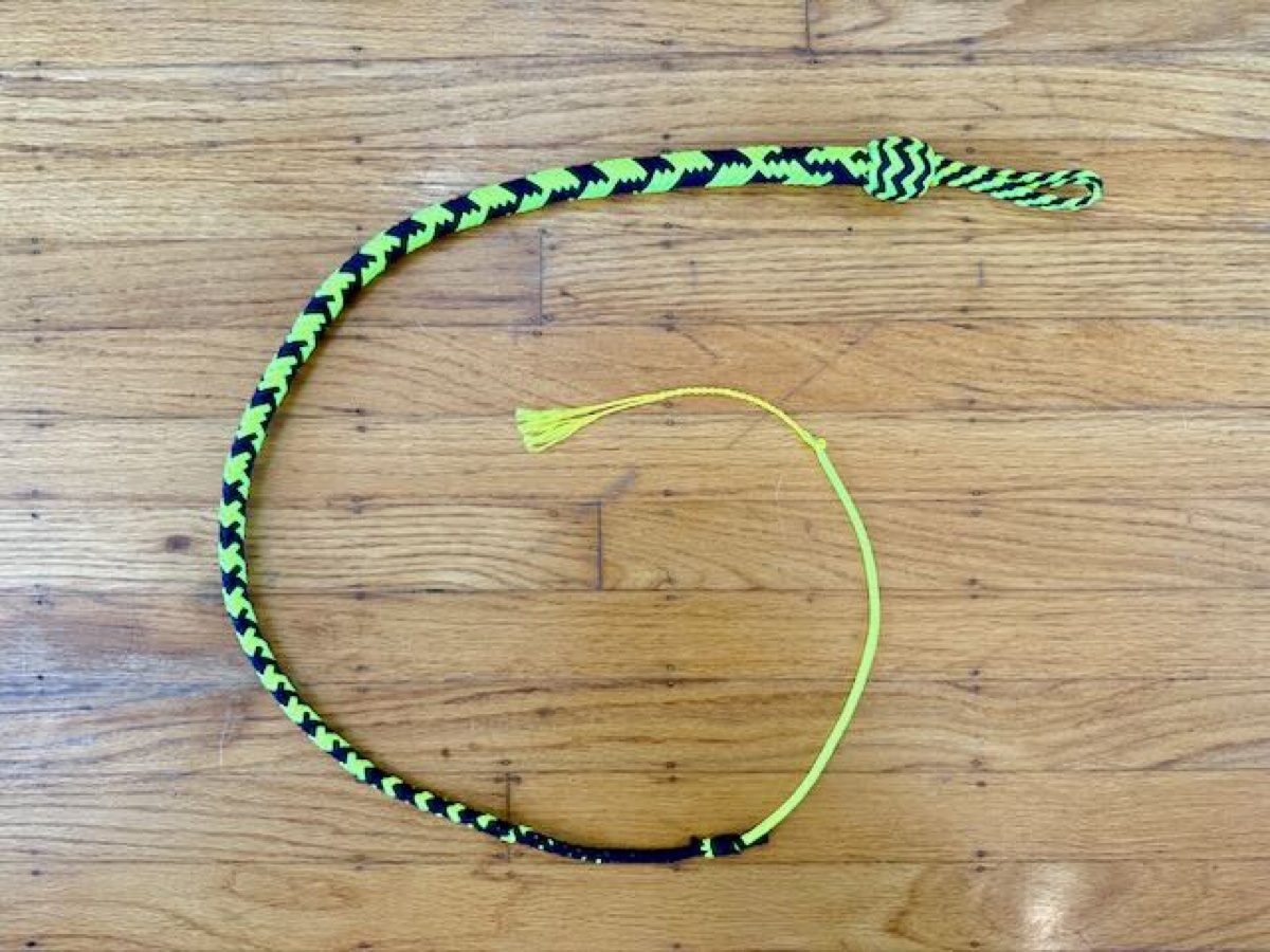 Paracord Snake
